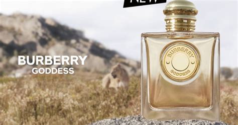 burberry body sample|Burberry goddess tester.